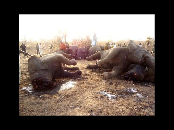 కెమెరాకు చిక్కిన కిరాతక వాస్తవాలు!