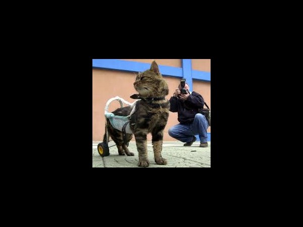 కెమెరాకు చిక్కిన కిరాతక వాస్తవాలు!