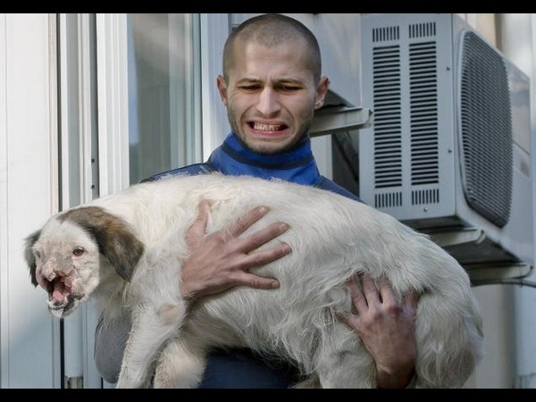 కెమెరాకు చిక్కిన కిరాతక వాస్తవాలు!