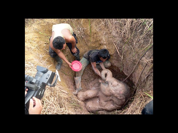 కెమెరాకు చిక్కిన కిరాతక వాస్తవాలు!