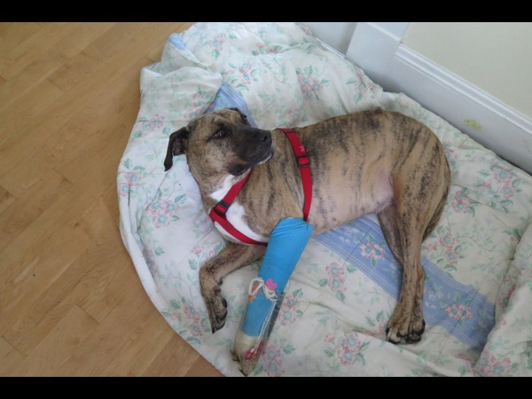 కెమెరాకు చిక్కిన కిరాతక వాస్తవాలు!