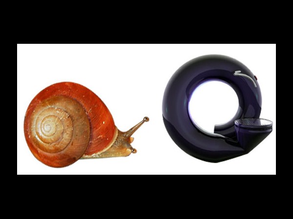 బయోమిమిక్ గాడ్జెట్‌‍లు