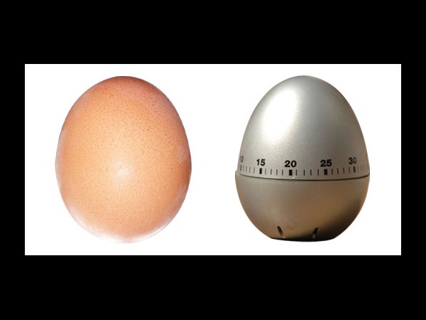 బయోమిమిక్ గాడ్జెట్‌‍లు