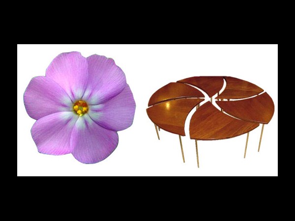 బయోమిమిక్ గాడ్జెట్‌‍లు