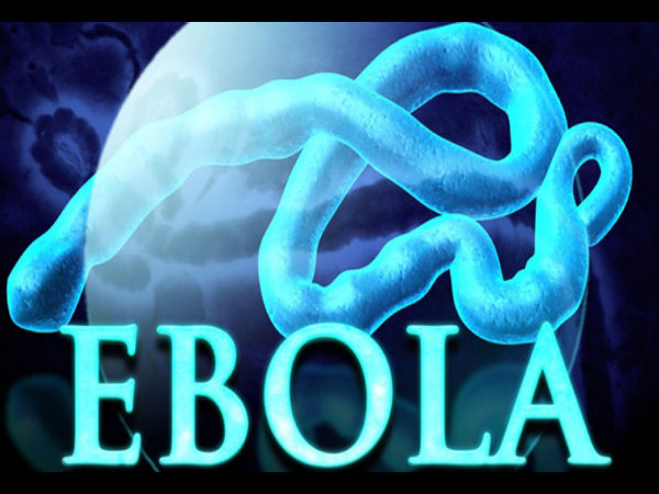 భారతీయులు గూగుల్‌లో అత్యధికంగా శోధించిన అంశాలు (2014)