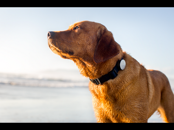  లైఫ్‌స్టైల్‌ను మరింత క్రేజీగా మార్చే ట్రాకర్స్, యాప్స్