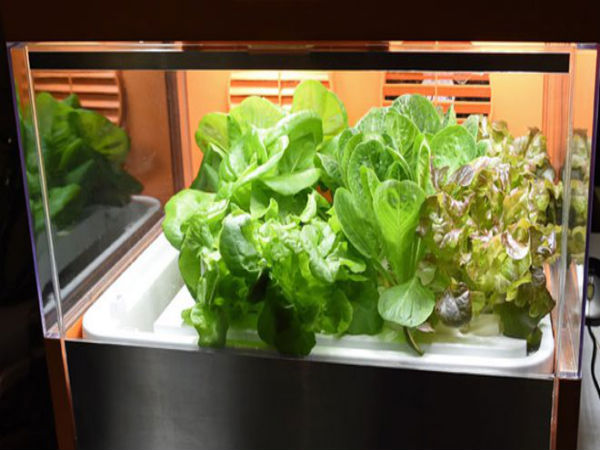 క్రేజీ గాడ్జెట్స్@సీఈఎస్ 2015