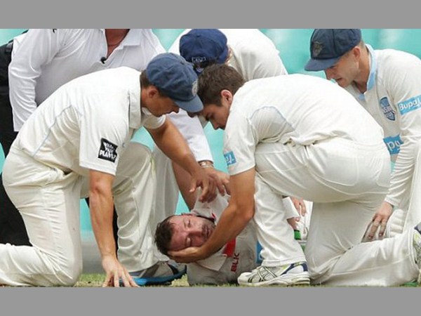 2014.. ఇంటర్నెట్ సంచలనాలు