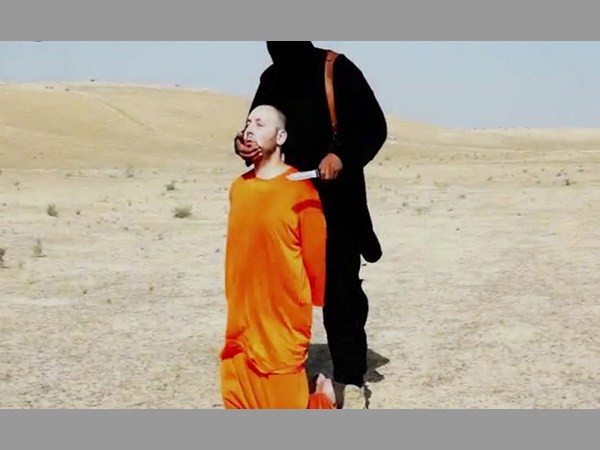 2014.. ఇంటర్నెట్ సంచలనాలు