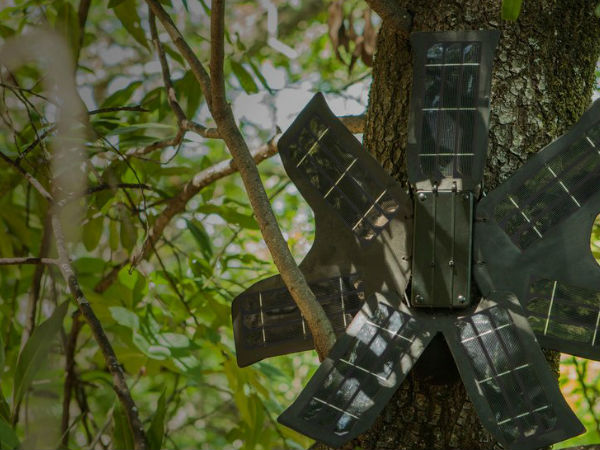 స్మార్ట్‌ఫోన్‍ ఇలా చేస్తుందని ఎప్పుడైనా ఊహించామా..?