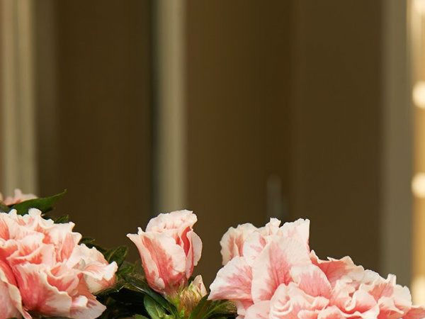 10 భవిష్యత్ గాడ్జెట్‌లు