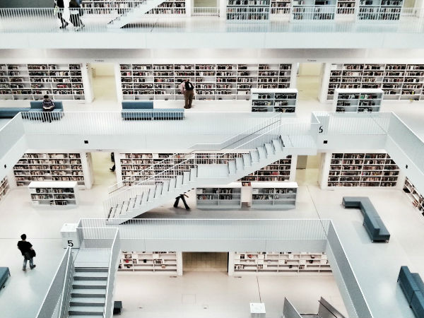 సోనీ వరల్డ్ ఫోటోగ్రఫీ అవార్డ్స్‌.. 20 బెస్ట్ ఫోటోలు