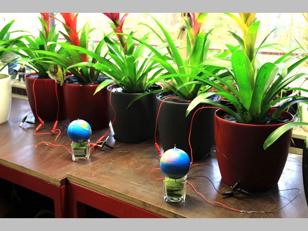 క్రియేటివ్ ఆవిష్కరణలు 