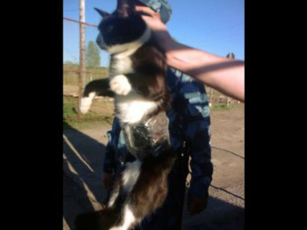 స్మార్ట్‌ఫోన్‌‌ల‌కు ఓ లెక్కుంది!!