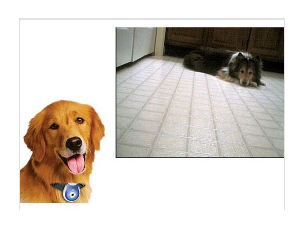 10 క్రియేటివ్ ఆలోచనలు