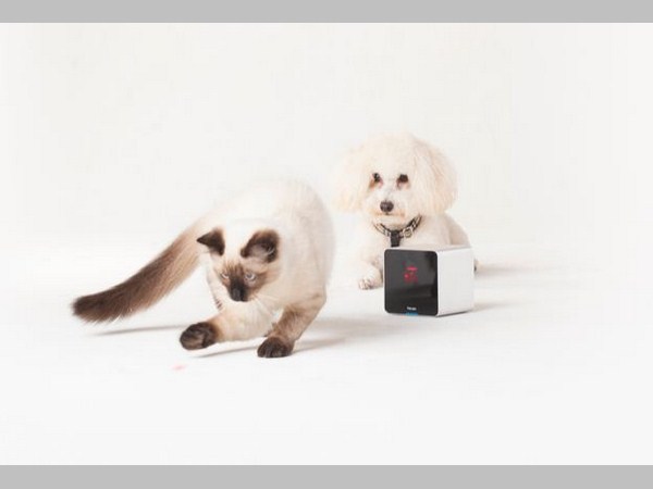 స్మార్ట్‌ఫోన్‌తో కంట్రోల్ చేసుకోగలిగే క్రేజీ కూల్ టాయ్స్