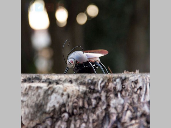 స్మార్ట్‌ఫోన్‌తో కంట్రోల్ చేసుకోగలిగే క్రేజీ కూల్ టాయ్స్