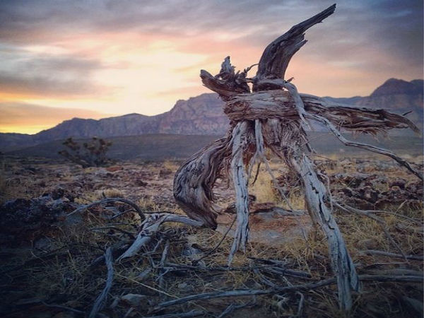 బ్రాండెడ్ క్వాలిటీ స్మార్ట్‌ఫోన్‌ల నుంచి చిత్రీకరించిన  అత్యుత్తమ ఫోటోలు