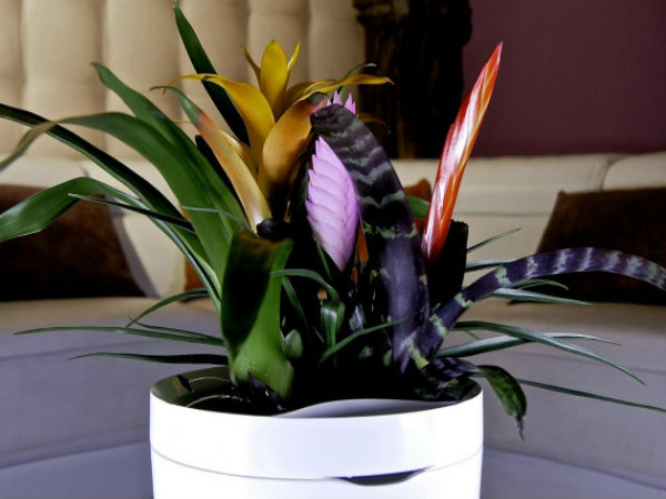  10 వైవిద్యభరితమైన టక్నాలజీ గాడ్జెట్‌లు