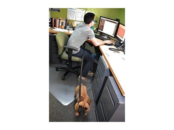  ఆ కంపెనీల్లో ఉద్యోగులకు అన్ని సౌకర్యాలా..?