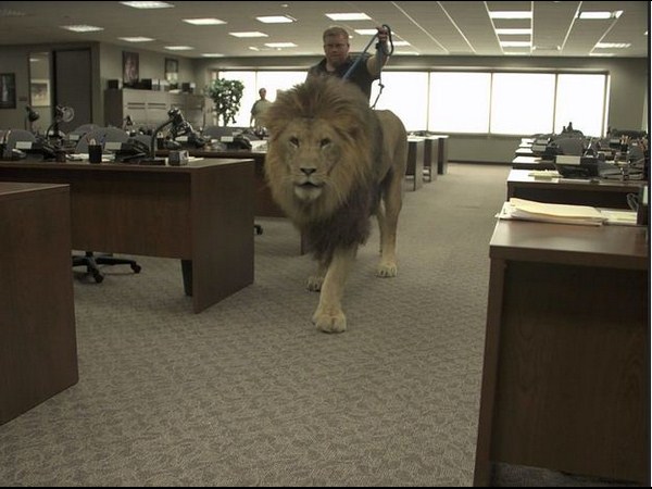 సినిమా కనికట్టు.. మాయ చేస్తోన్న విజువల్ ఎఫెక్ట్స్