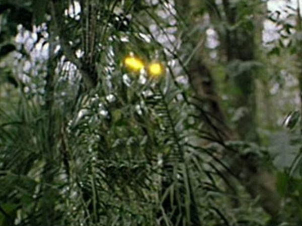  సినిమాల ద్వారా పాపులరైన 8 గాడ్జెట్‌లు