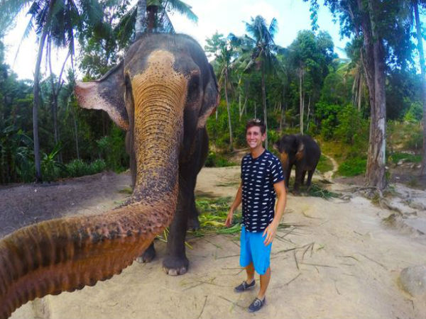 మనం తీస్తే సెల్ఫీ.. ఏనుగు తీస్తే ‘ఎల్ఫీ’