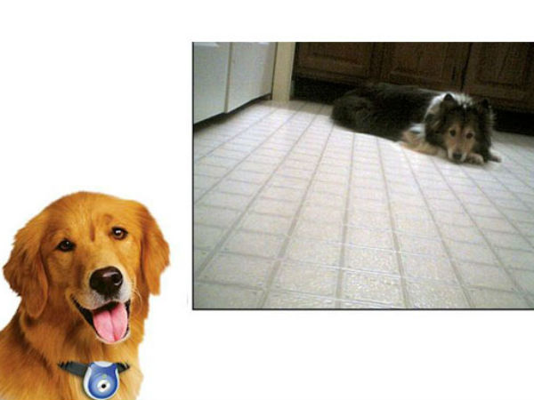 టెక్నాలజీ చెలరేగితే..!