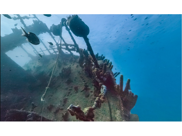 సముద్ర లోతుల్లో గూగుల్ స్ట్రీట్ వ్యూ