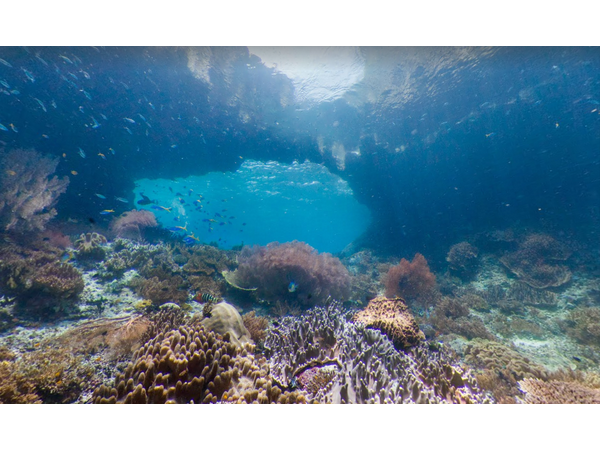 సముద్ర లోతుల్లో గూగుల్ స్ట్రీట్ వ్యూ