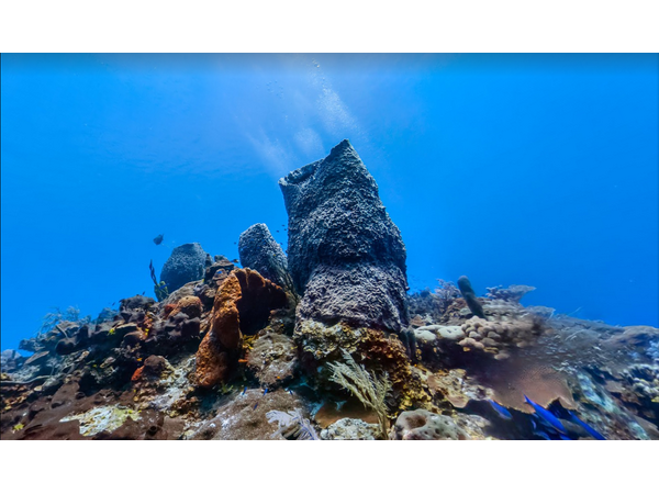 సముద్ర లోతుల్లో గూగుల్ స్ట్రీట్ వ్యూ