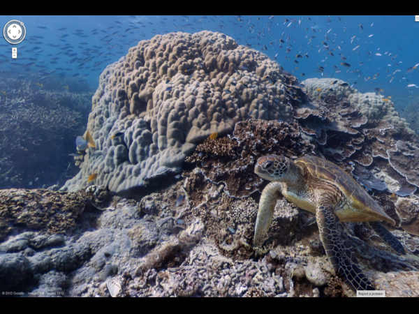 థ్రిల్లింగ్ గూగుల్  స్ట్రీట్ వ్యూ  డెస్టినేషన్స్