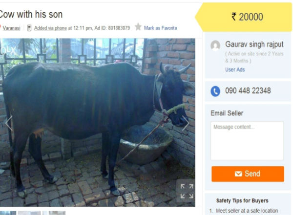 ఓఎల్ఎక్స్ యాడ్స్.. చూస్తే షాక్