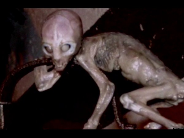 ఇంటర్నెట్‌లో హల్‌చల్ చేస్తోన్న పలు అనుమానాస్పద ఏలియన్ చిత్రాలు..?