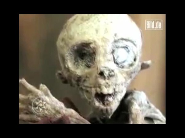 ఇంటర్నెట్‌లో హల్‌చల్ చేస్తోన్న పలు అనుమానాస్పద ఏలియన్ చిత్రాలు..?