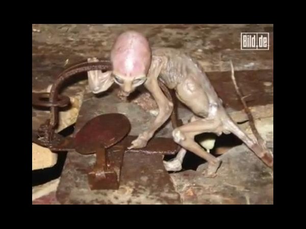 ఇంటర్నెట్‌లో హల్‌చల్ చేస్తోన్న పలు అనుమానాస్పద ఏలియన్ చిత్రాలు..?