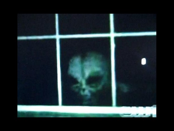 ఇంటర్నెట్‌లో హల్‌చల్ చేస్తోన్న పలు అనుమానాస్పద ఏలియన్ చిత్రాలు..?