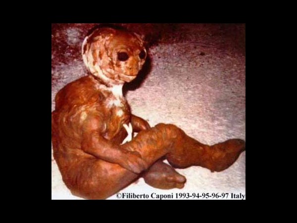 ఇంటర్నెట్‌లో హల్‌చల్ చేస్తోన్న పలు అనుమానాస్పద ఏలియన్ చిత్రాలు..?