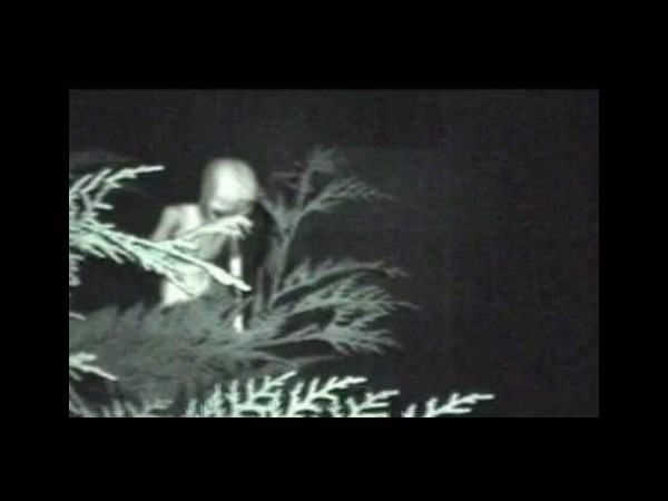 ఇంటర్నెట్‌లో హల్‌చల్ చేస్తోన్న పలు అనుమానాస్పద ఏలియన్ చిత్రాలు..?