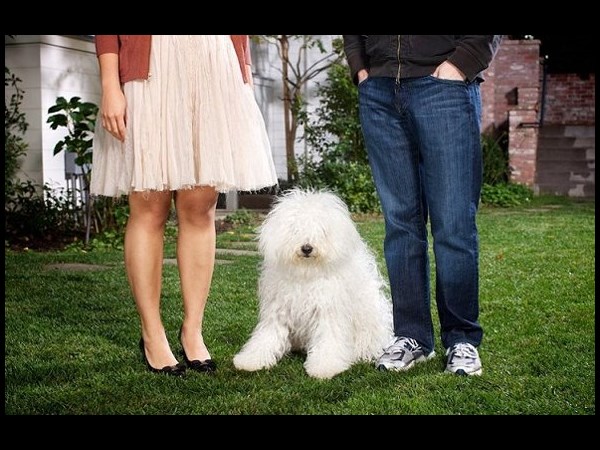 ఫేస్‌బుక్ మిలియనీర్లు థ్రిల్లింగ్ లవ్ స్టోరీలు