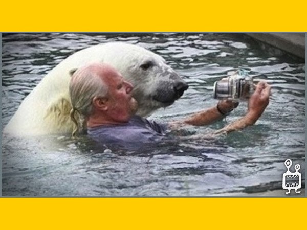 సోషల్ మీడియాలో హల్‌చల్ చేస్తోన్న పలు భయానక సెల్ఫీలు