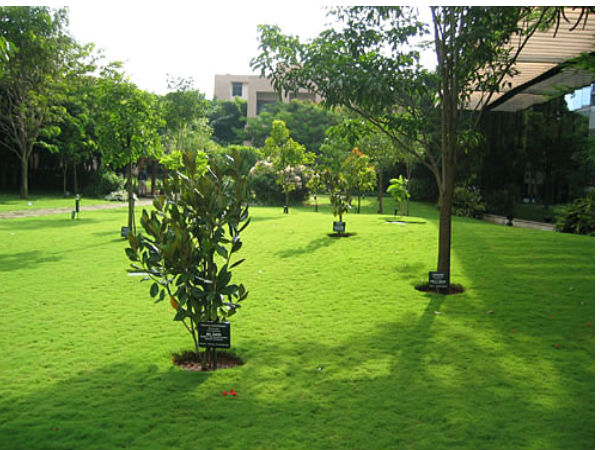 ఇన్ఫోసిస్ క్యాంపస్ ఫోటోలు (బెంగళూరు)