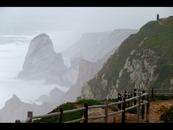  దారుణమైన  సెల్ఫీ ప్రమాదాలు