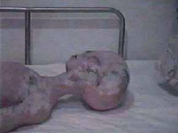 ఇంటర్నెట్‌లో హల్‌చల్ చేస్తోన్న అనుమానాస్పద ఏలియన్ చిత్రాలు