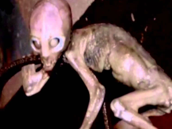 ఇంటర్నెట్‌లో హల్‌చల్ చేస్తోన్న అనుమానాస్పద ఏలియన్ చిత్రాలు