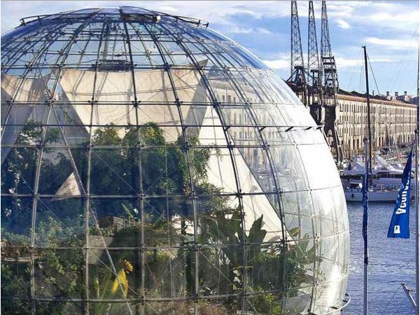 ఈ గాజు భవంతి... ఆమెజాన్ క్రేజీ ప్రాజెక్ట్!