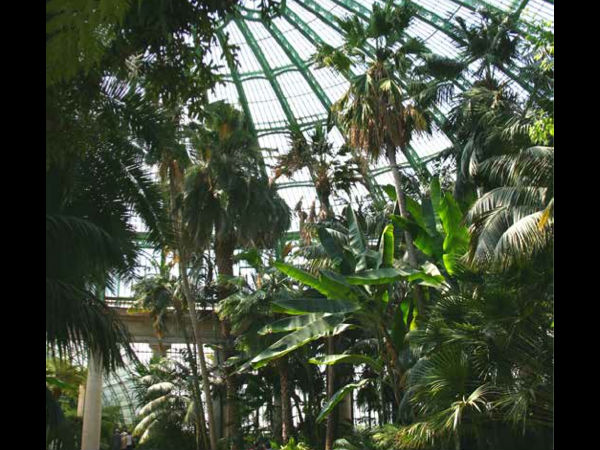 ఈ గాజు భవంతి... ఆమెజాన్ క్రేజీ ప్రాజెక్ట్!