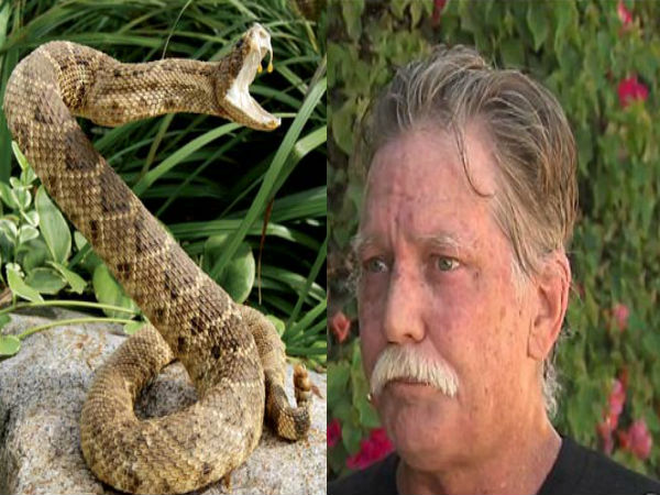 పాముతో సెల్ఫీ... చచ్చి బతికాడు