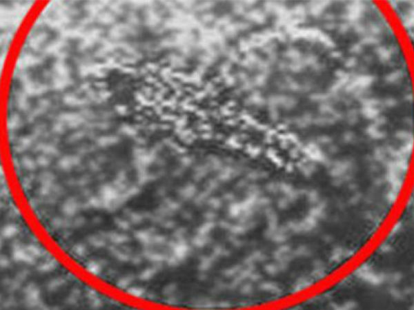 వింత ఆకారాలు ప్రజల మదిలో రకరకాల సందేహాలు