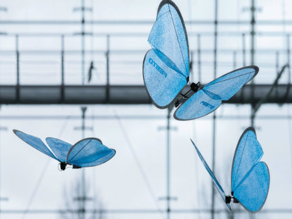 క్రియేటివ్ రోబోట్స్